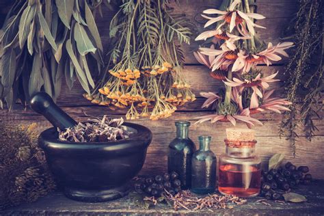 Witchcraft and the medicinal properties of plants